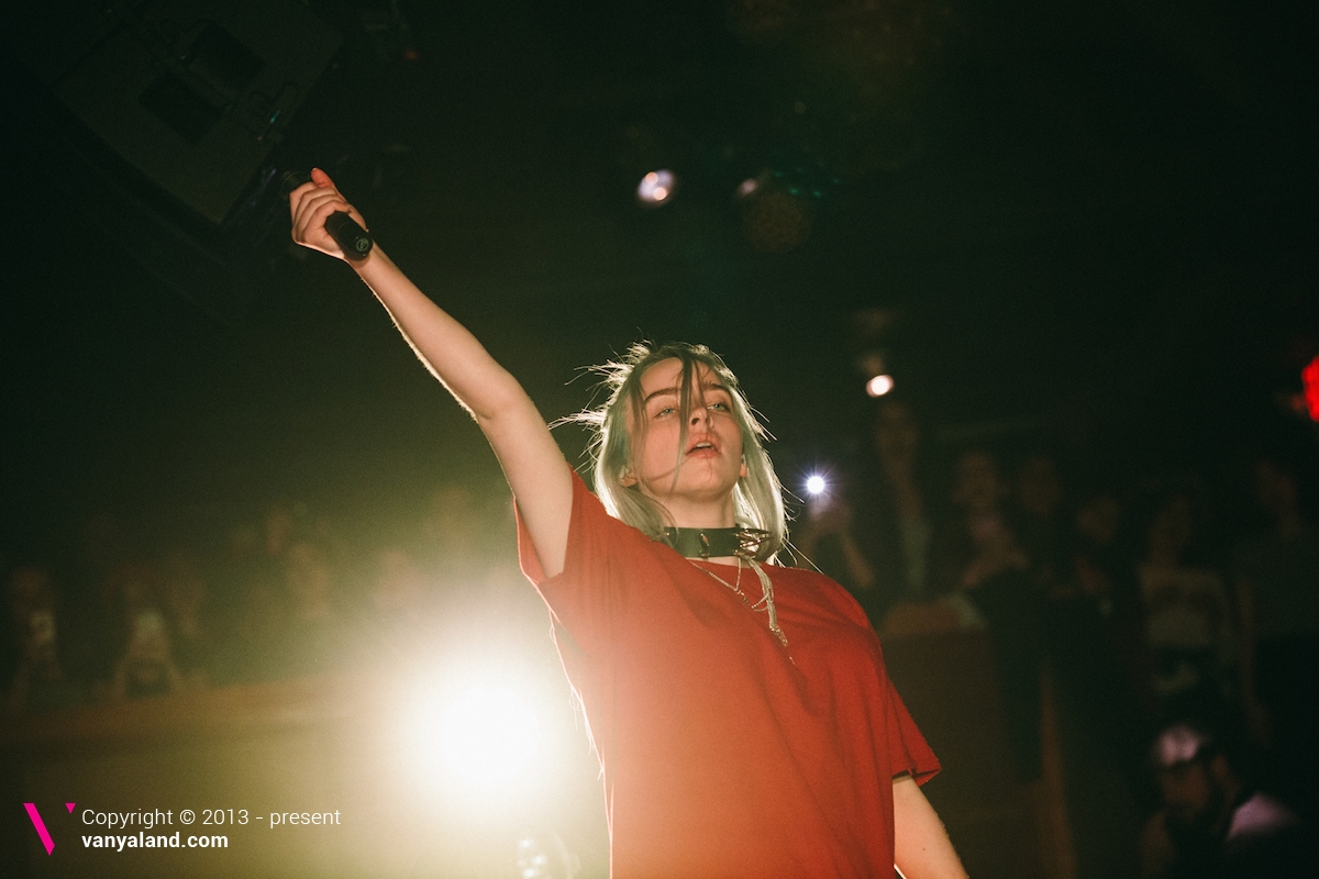 BillieEilish31_CreditNatashaMoustache.jpg